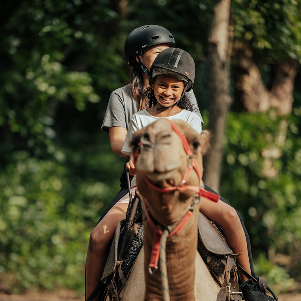 Horse Riding